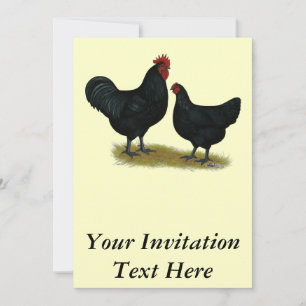 Convite Jersey Giant Chickens