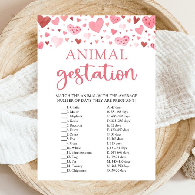 Convite Jogo de Gestação Animal para Chás de Bebê do Dia d (Watercolor Cute Pink Red Hearts Valentine A Little Sweetheart Girl Animal Gestation Baby Shower Game)