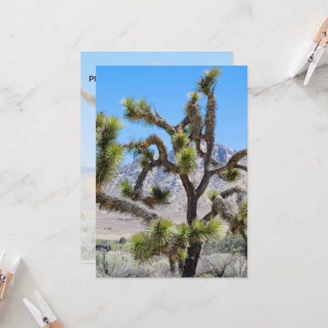 Convite Joshua Tree na Califórnia (Frente/Verso In Situ)