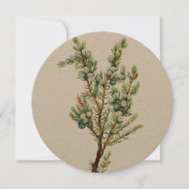 Convite Juniper De Montanha Botânica Simples Vintage