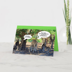 Convite Kangaroo Surprise Birthday Party Invitation