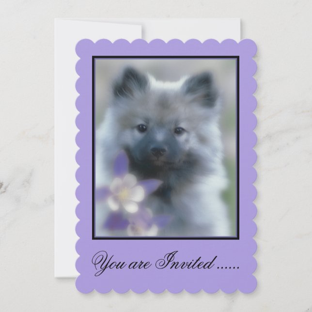 Convite Keeshond e Columbine - Fotografia de Cães (Frente)