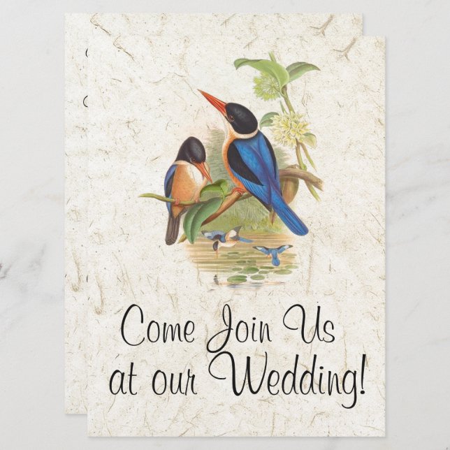 Convite Kingfisher Bird Wildlife Animal Weditation (Frente/Verso)