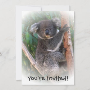 Convite Koala Bear