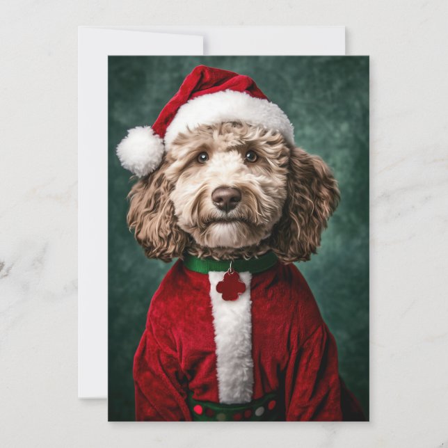 Convite Labradoodle em Festas de Natal Festivas (Frente)