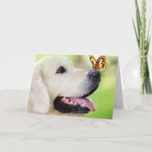 Convite Labrador And Butterfly Throw Pillow