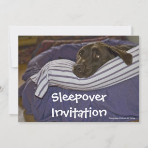 Convite Labrador Retriever Na Cama