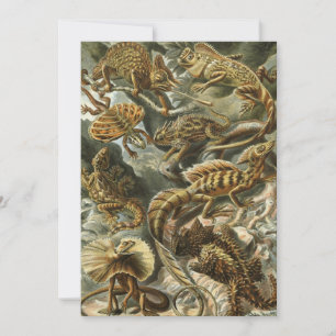 Convite Lagartos por Ernst Haeckel Lacertília Animal Vinta