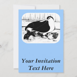 Convite Lahore Pigeons 1980