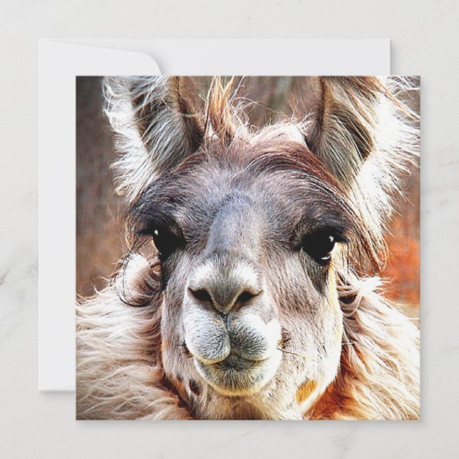 Convite Lama (Frente)