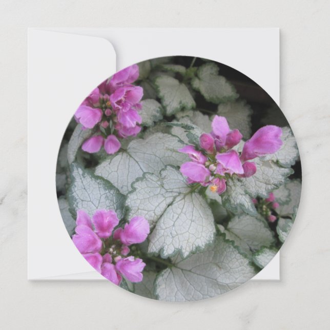 Convite Lamium Maculatum (Frente)