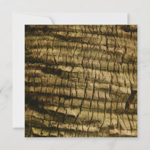 Convite Latido Palm Tree