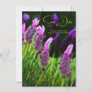 Convite Lavanda, Amor e Devoção Amarelo, Salve a Data,