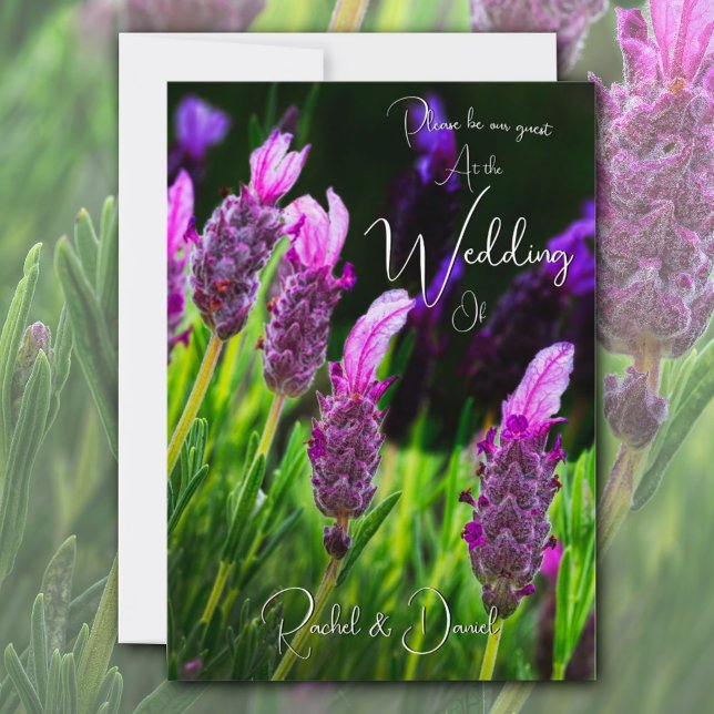 Convite Lavanda, Amor e Devoção, Casamento (Criador carregado)