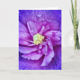 Convite Lavanda Chiffon Hibiscus Vazio