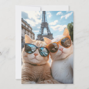 Convite Legal Gatos em Paris