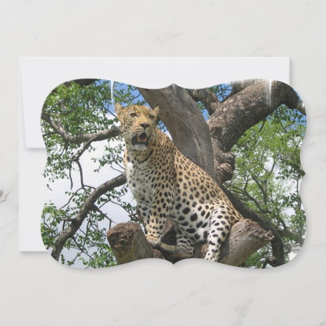 Convite Leopardo (Frente)