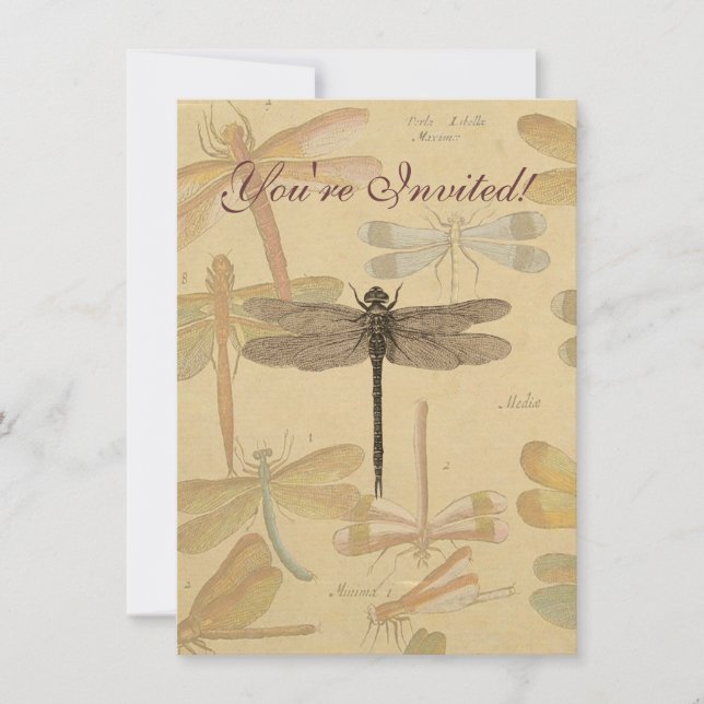 Convite Libélula Vintage Antiga Clássica Natureza (Frente)