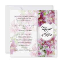 Lilases Stargazer Aquarela