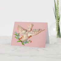 linda pomba branca com risca na boca