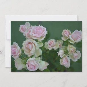 Convite Lindas rosas de jardim rosa claro 