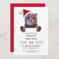 Língua de Natal de Cat