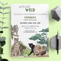 Lion Big Cats Selgle Safari Wilthday