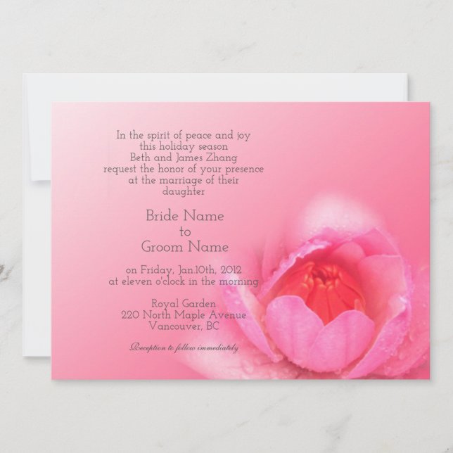 Convite lírio rosa em fundo rosa. 粉 红 色 睡 。 莲 (Frente)