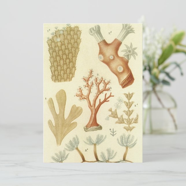 Convite Livro Didático de Ciências Biologia, Animais de Co (Em pé/Frente)