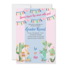 Llama e Cactus Rosa e Azul Revelação de Gênero