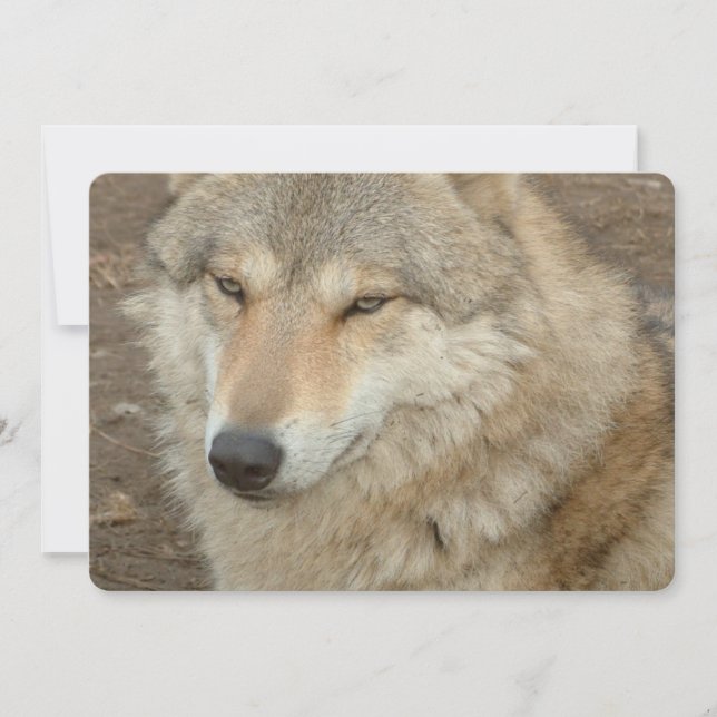 Convite Lobo (Frente)