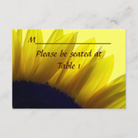 Local do Noivado Personalizado de Girassol