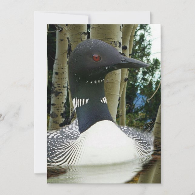 Convite Loon Wilderness (Frente)