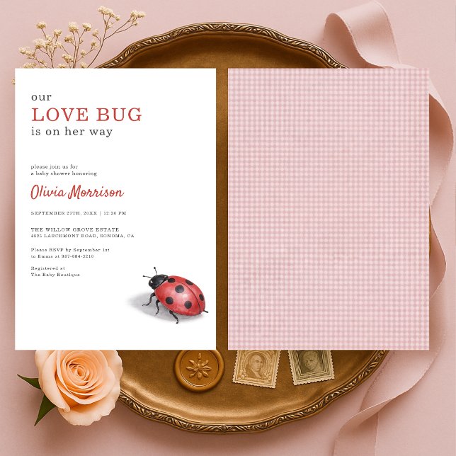 Convite Love Bug Ladybug Xadrez Baby Shower (Criador carregado)