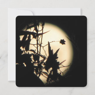 Convite Love in the Moonlight shimmer