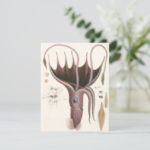 Convite Lula dos Guarda-chuvas, Animais Vintage da Marinha