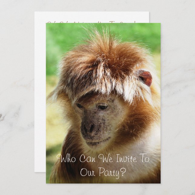 CONVITE MACACOS (Frente/Verso)