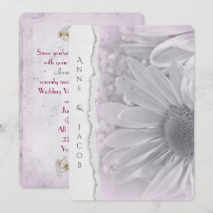 Convite macro de margarida rosa pálido em papel de borda 