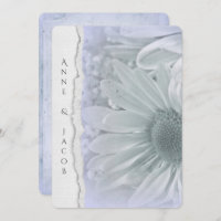 macro margarida em matiz roxa com borda de papel r