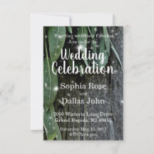 Madeira de quintal e ervas