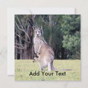 Convite Mãe Kangaroo com Bebê Joey em sua bolsa