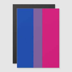 Convite Magnético Bandeira do Orgulho Bissexual