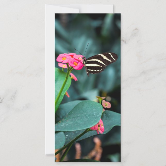 Convite Magnético Bela borboleta em uma flor rosa (Frente)
