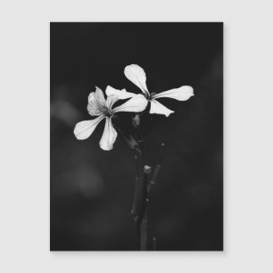 Convite Magnético floral preto e branco minimalista