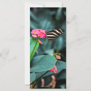 Convite Magnético Fotografia de Borboleta em Flor Rosa