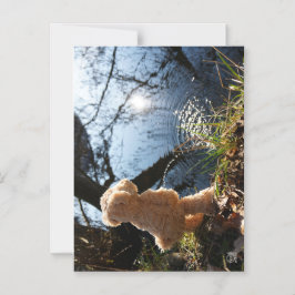 Convite Magnético Grappige beer die ondeugend plast.