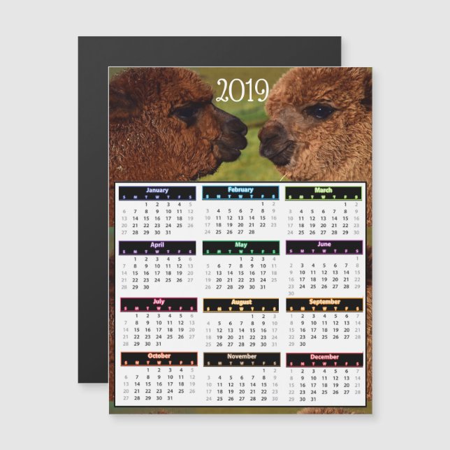 Convite Magnético Mini calendário de 2019 alpacas engraçadas (Frente/Verso)