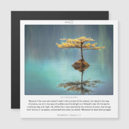 Convite Magnético Placa magnética do SCRIPIX de PROSPERITY 1:1-3