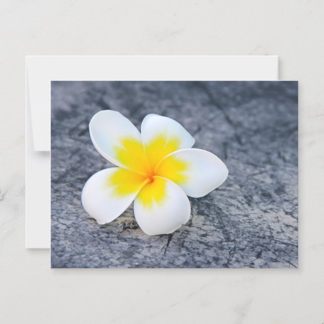 Convite Magnético plumeria (Frente)