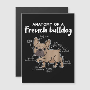 Convite Magnético Presente Frenchie Presente Anatomia de um Bulldo